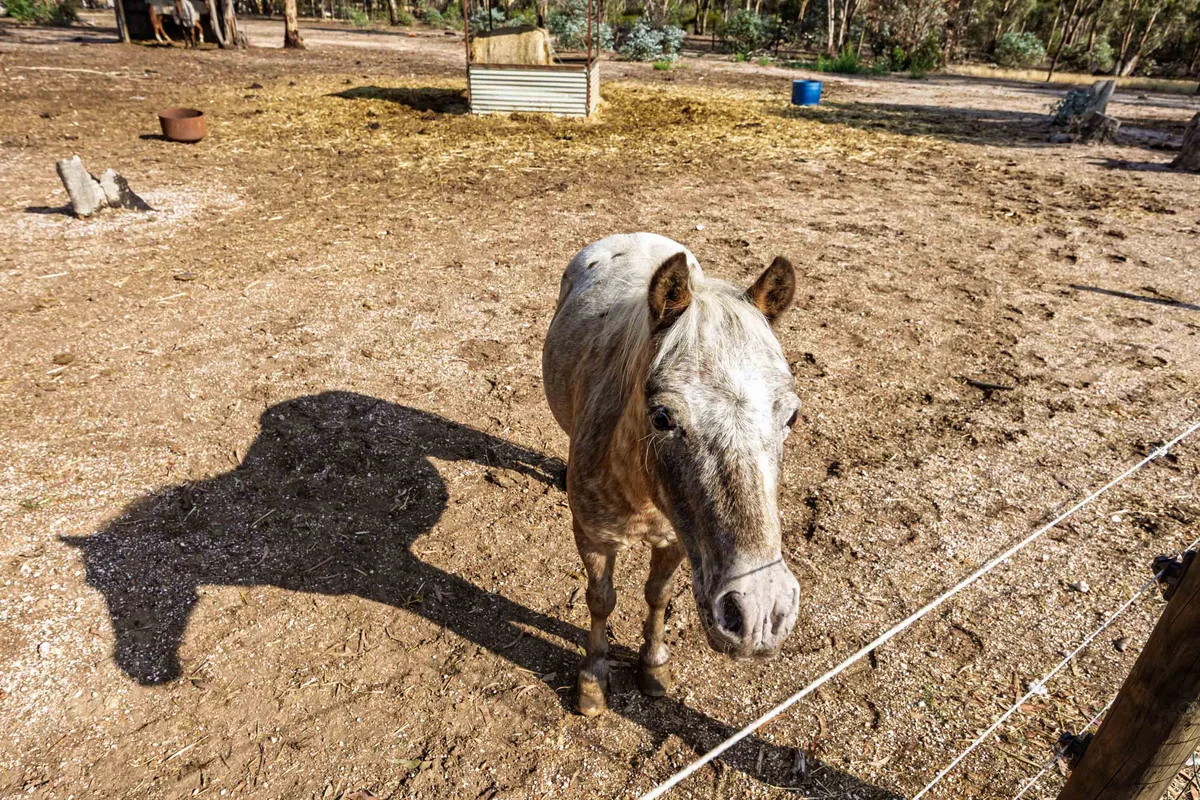 Additional image 25 of 28 Svensen Road, Majorca VIC 3465