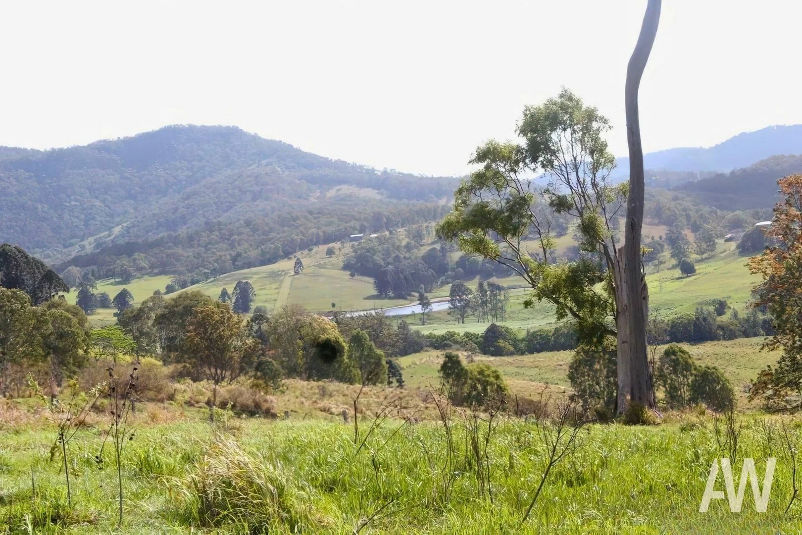 Additional image 4 of 222-330 Boyle Road, Belli Park QLD 4562