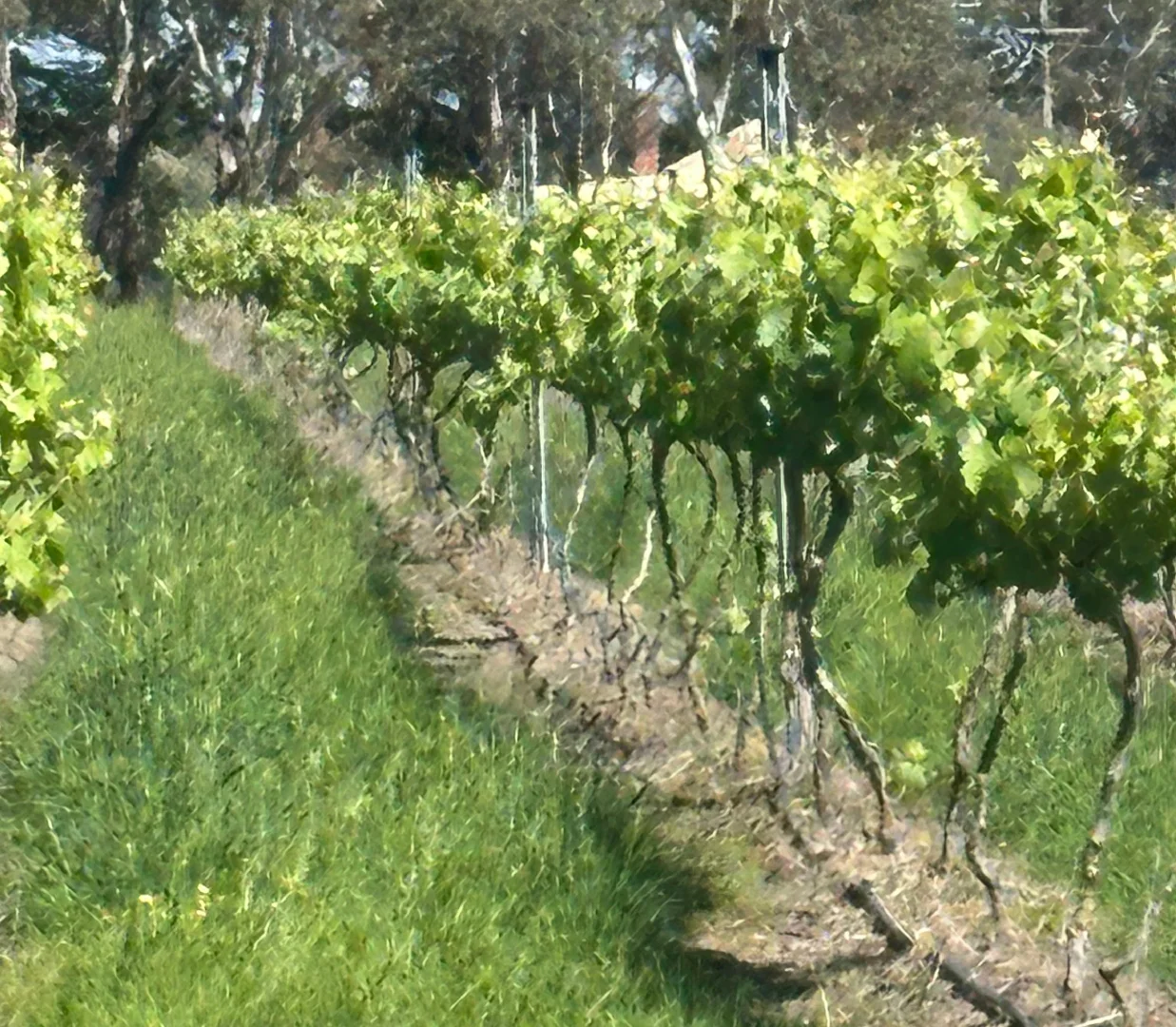 Additional image 11 of 136 Darlington-Carranballac Road, Darlington VIC 3271