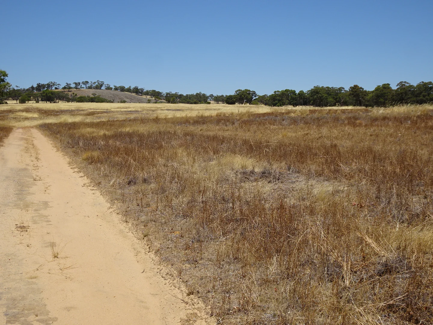 Additional image 15 of 160 Chittleborough Road, Brookton WA 6306