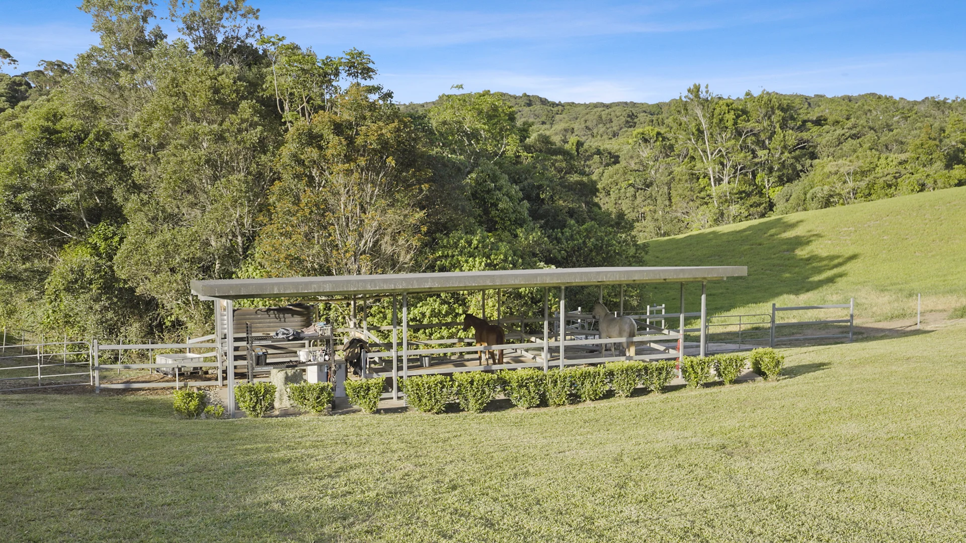 Additional image 30 of 53 Guludu Close, Danbulla QLD 4872