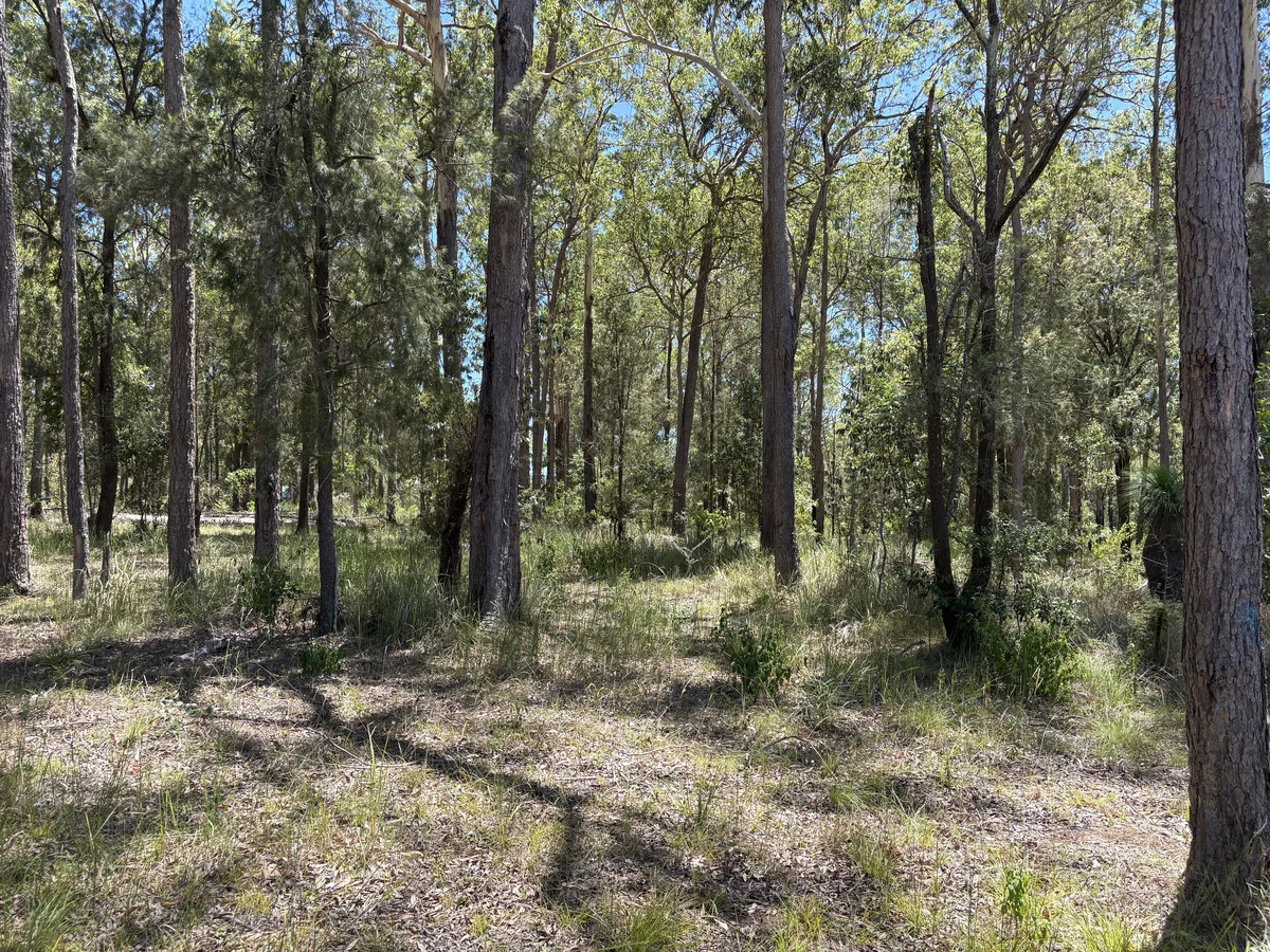 Additional image 23 of 170 GILLILAND Crescent, Blackbutt QLD 4314