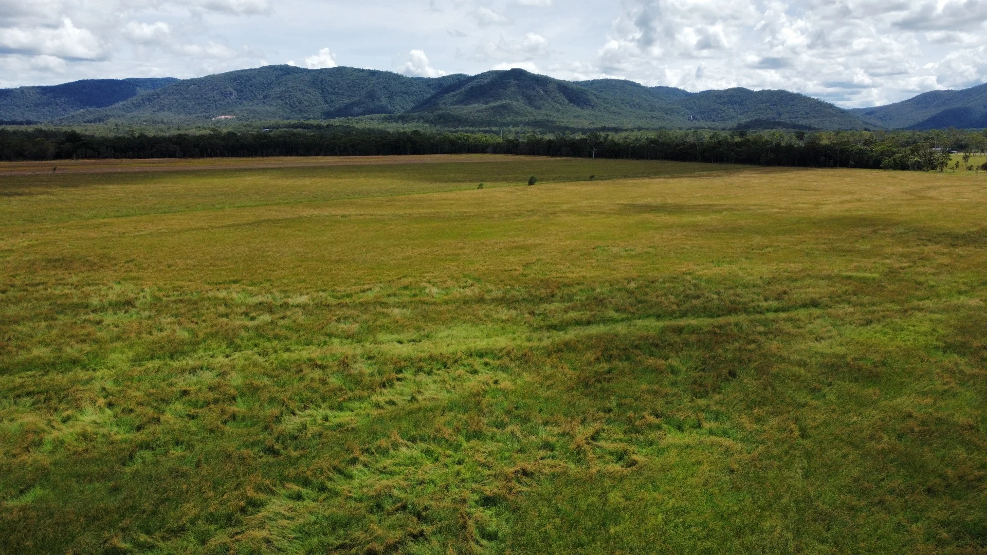 Additional image 5 of Carrington QLD 4883