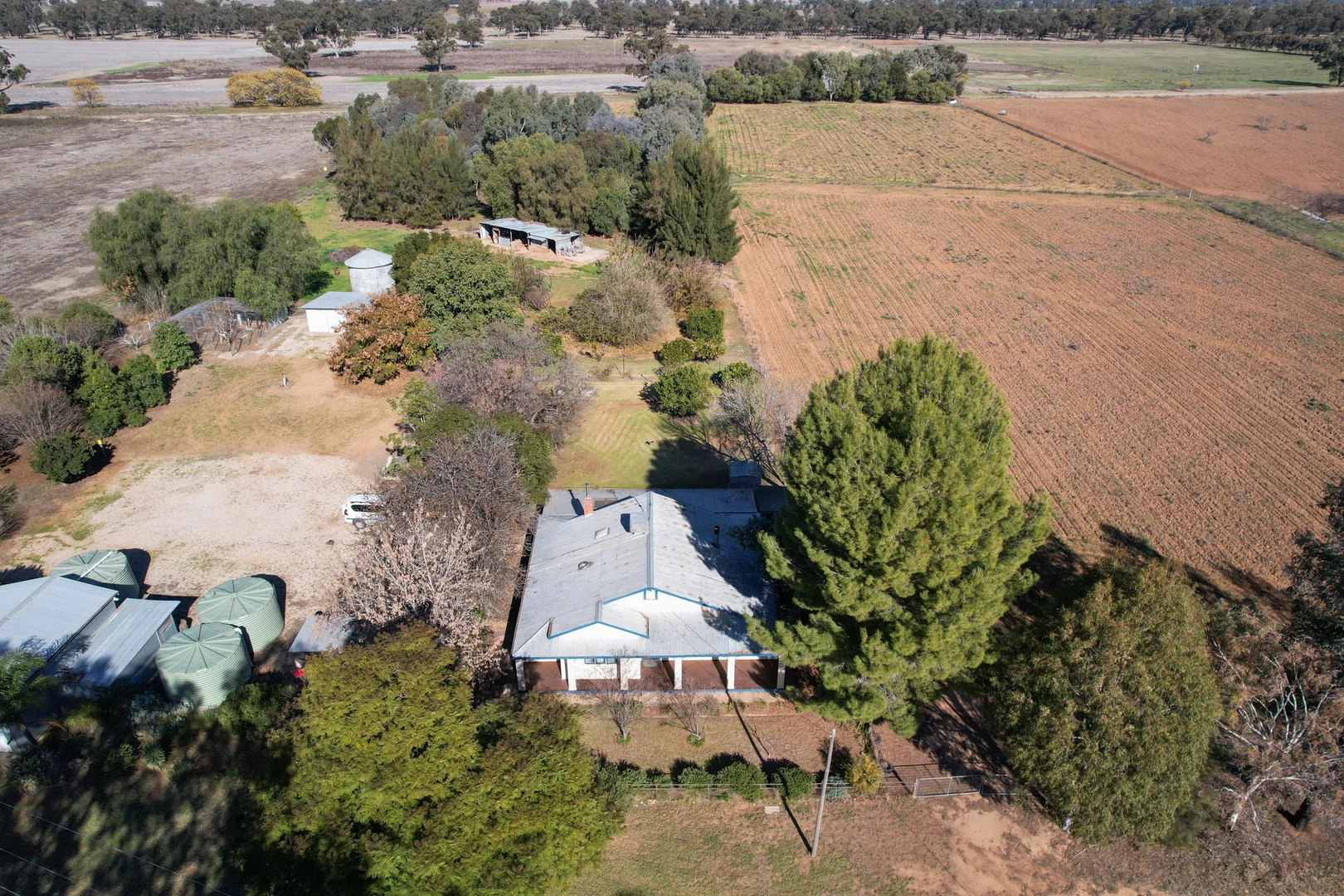 Additional image 5 of 194 South Lead Road, Forbes NSW 2871