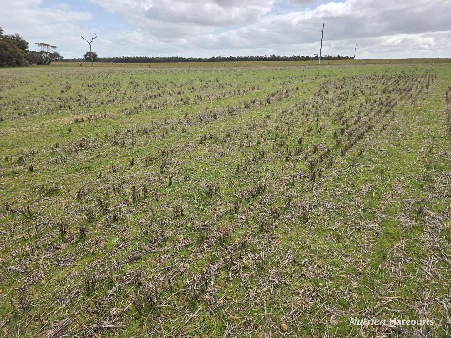 Additional image 18 of Lot 347 Yarralena Road, Cranbrook WA 6321