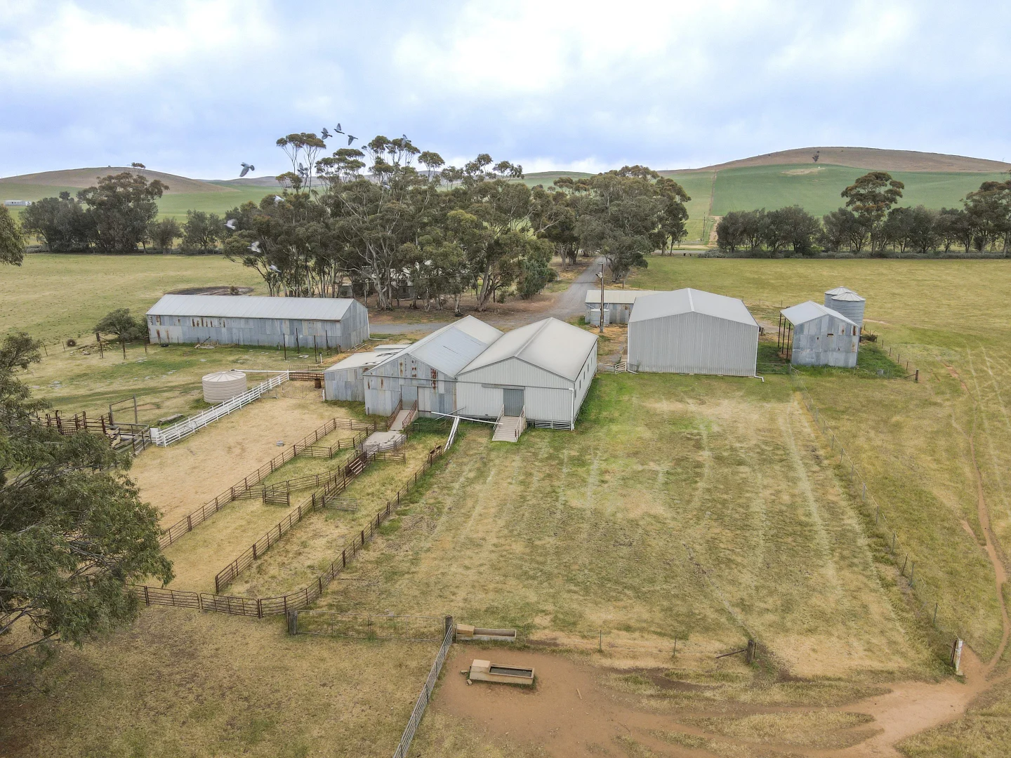 Additional image 8 of 'Lucerne Park' Booborowie Rd, Booborowie SA 5417
