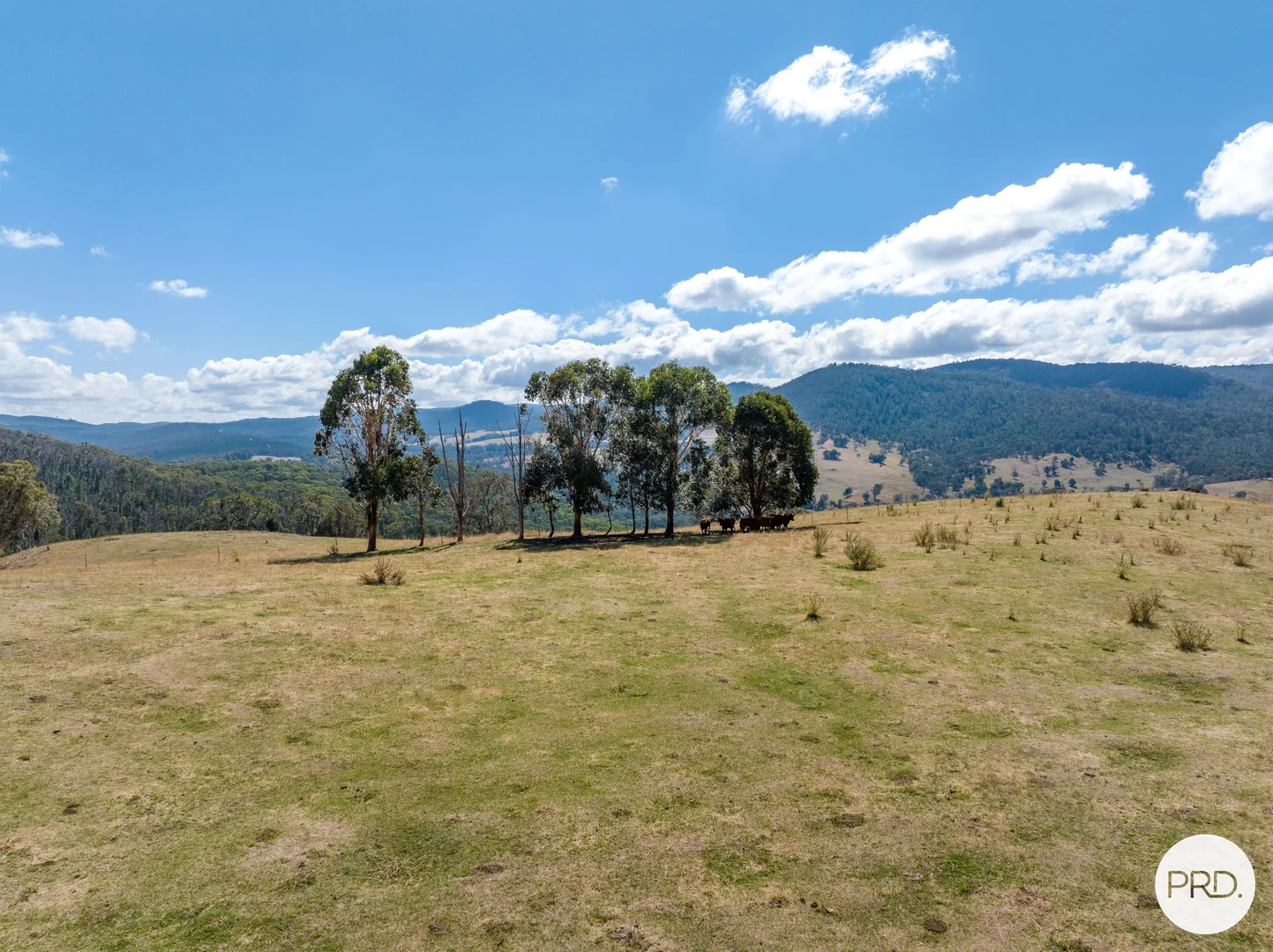 Additional image 61 of 1100 Batlow Road, Tumbarumba NSW 2653