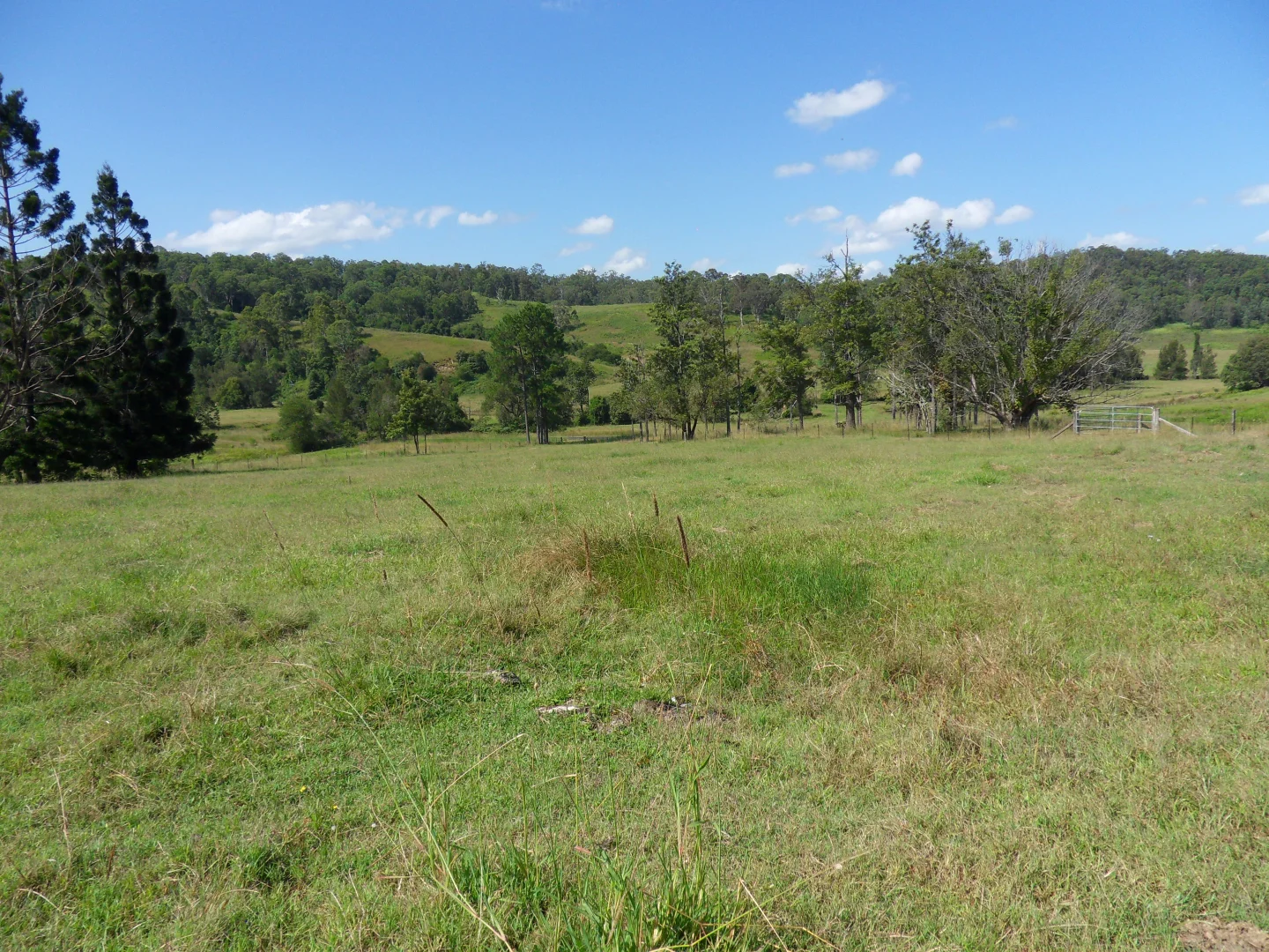 Additional image 24 of 665 Theresa Creek Road, Theresa Creek NSW 2469