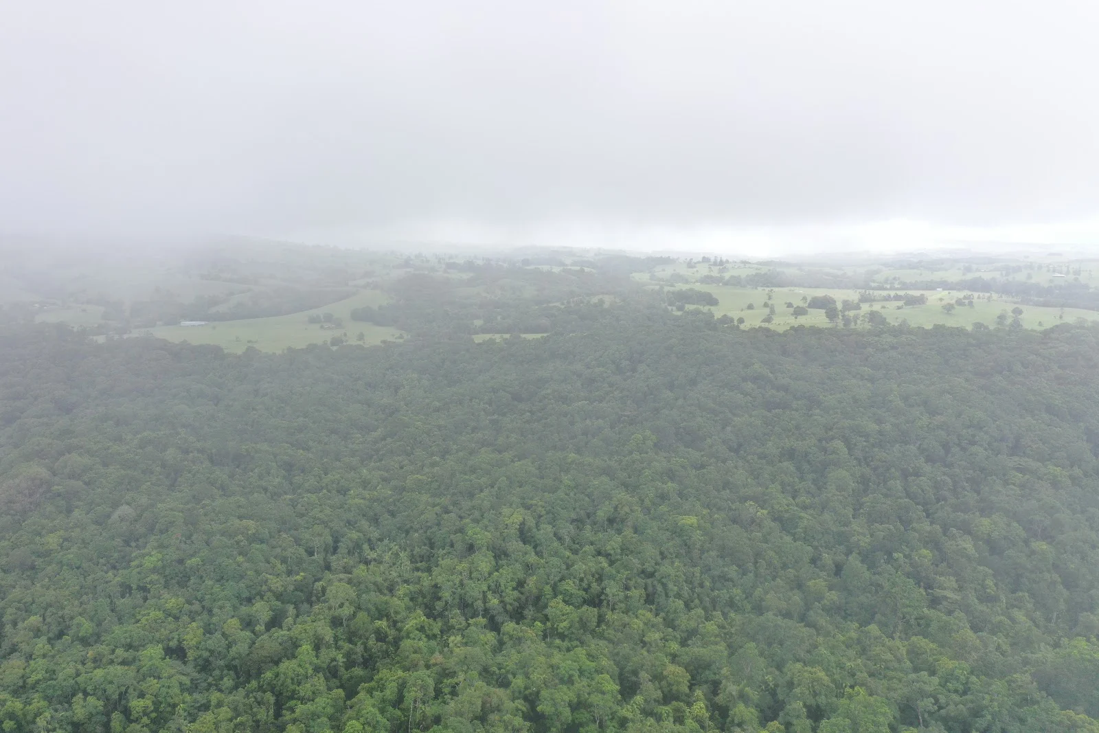 Additional image 29 of Lot 213 Kelly Road, Ellinjaa QLD 4886