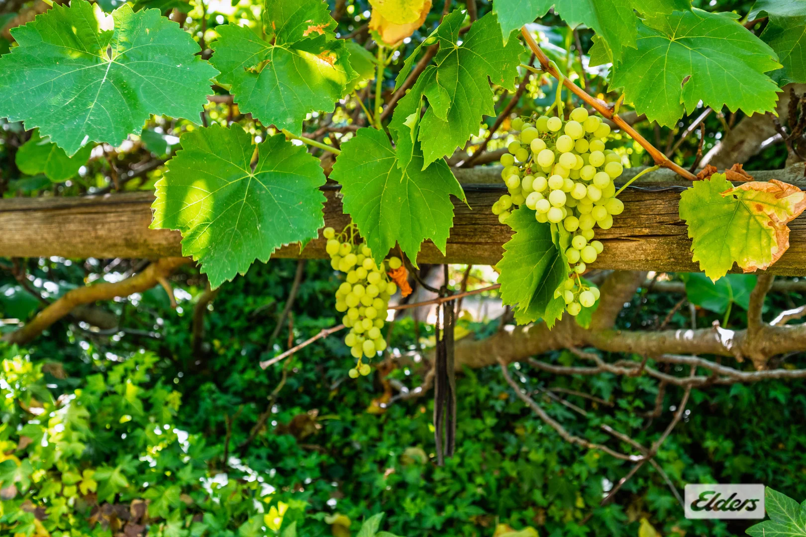 Additional image 25 of 4 Speers Lane, Dederang VIC 3691