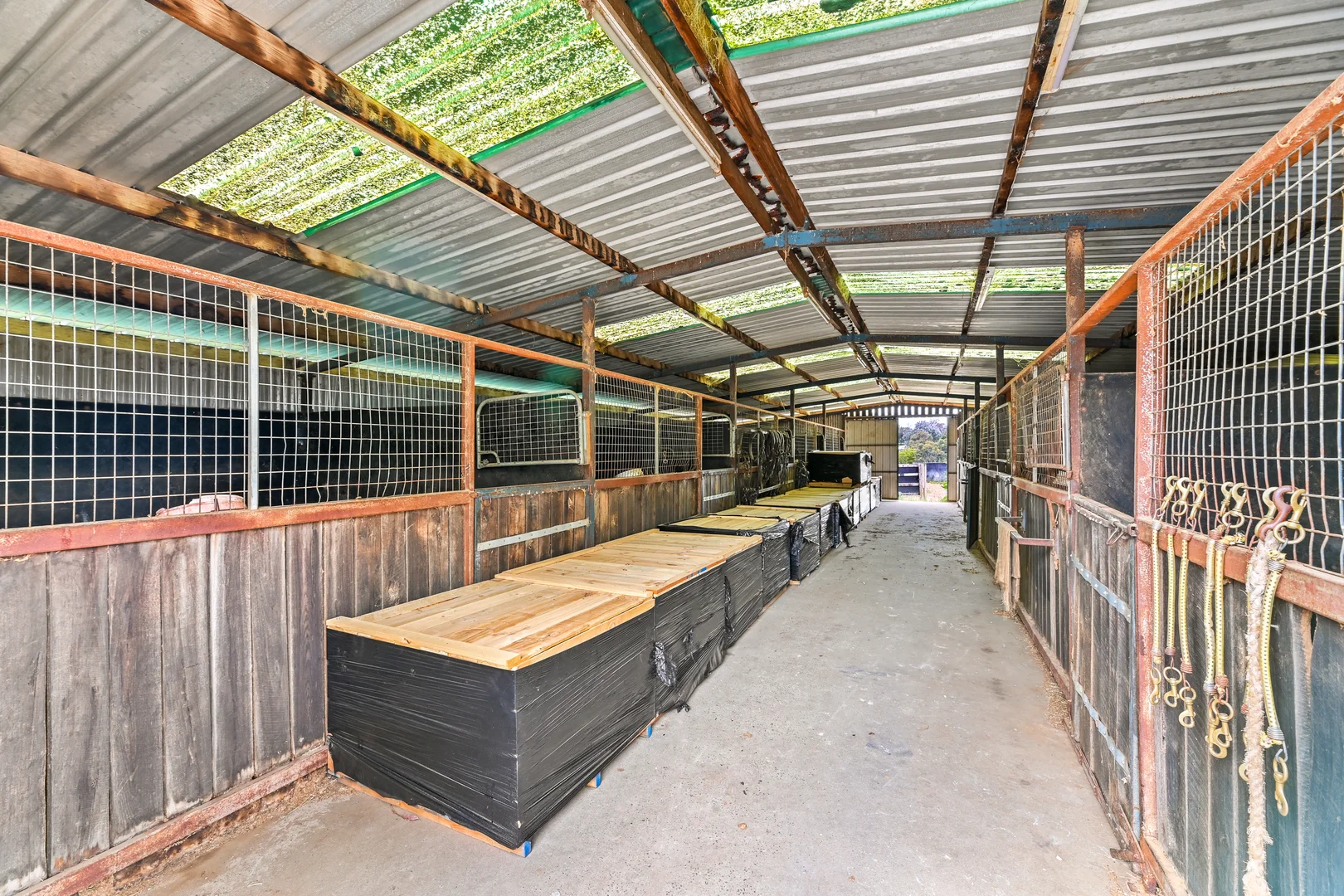 Additional image 10 of 50 Langley Road, Cranbourne South VIC 3977