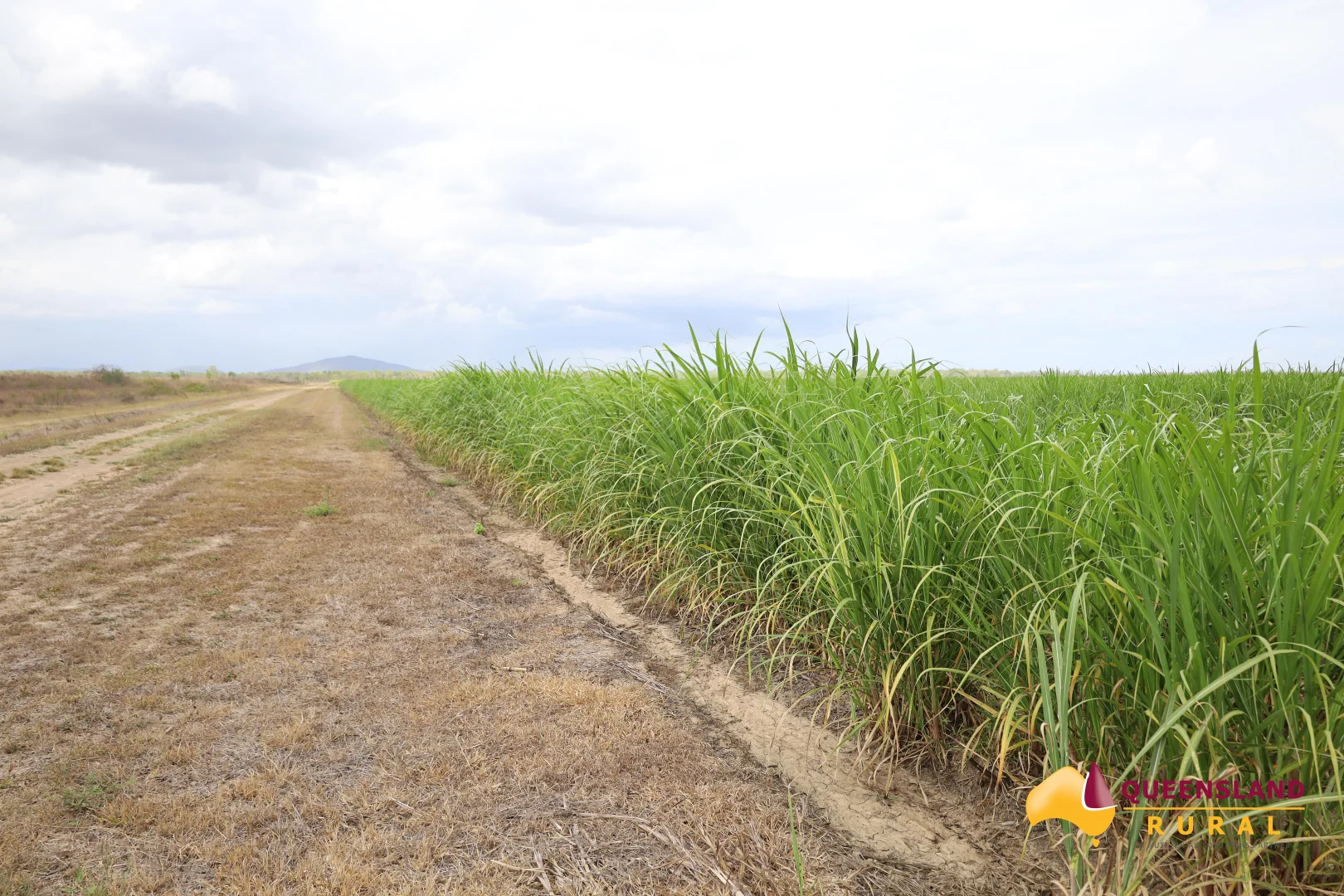Additional image 7 of Upper Haughton QLD 4809