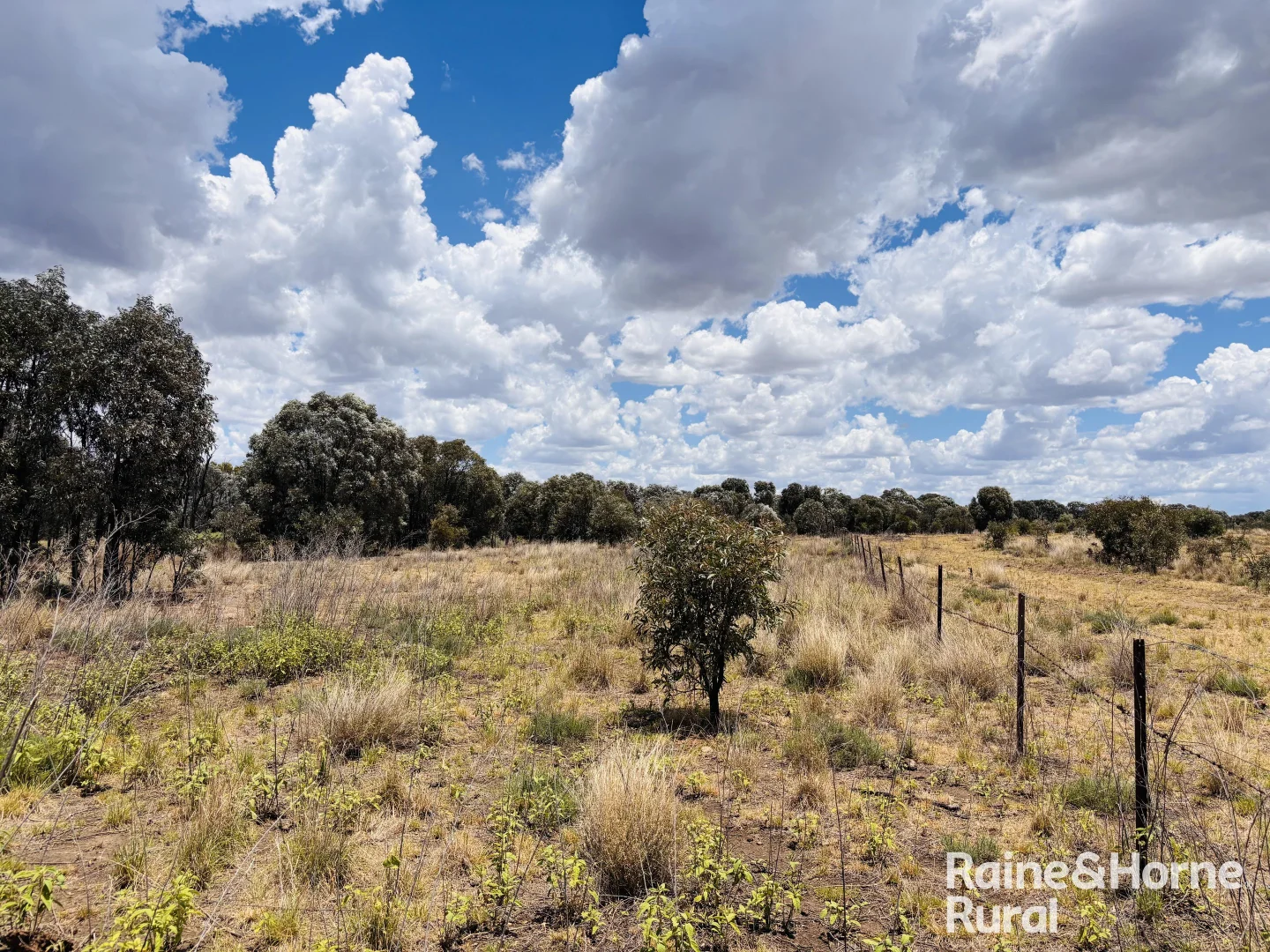 Additional image 8 of 330 Burrow Downs Road, Injune QLD 4454