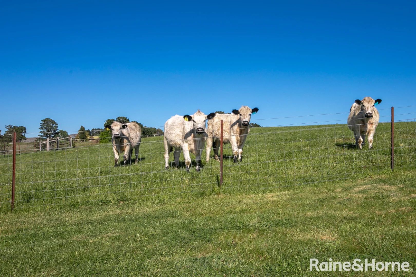 Additional image 2 of 30 View Bank Lane, Riddells Creek VIC 3431