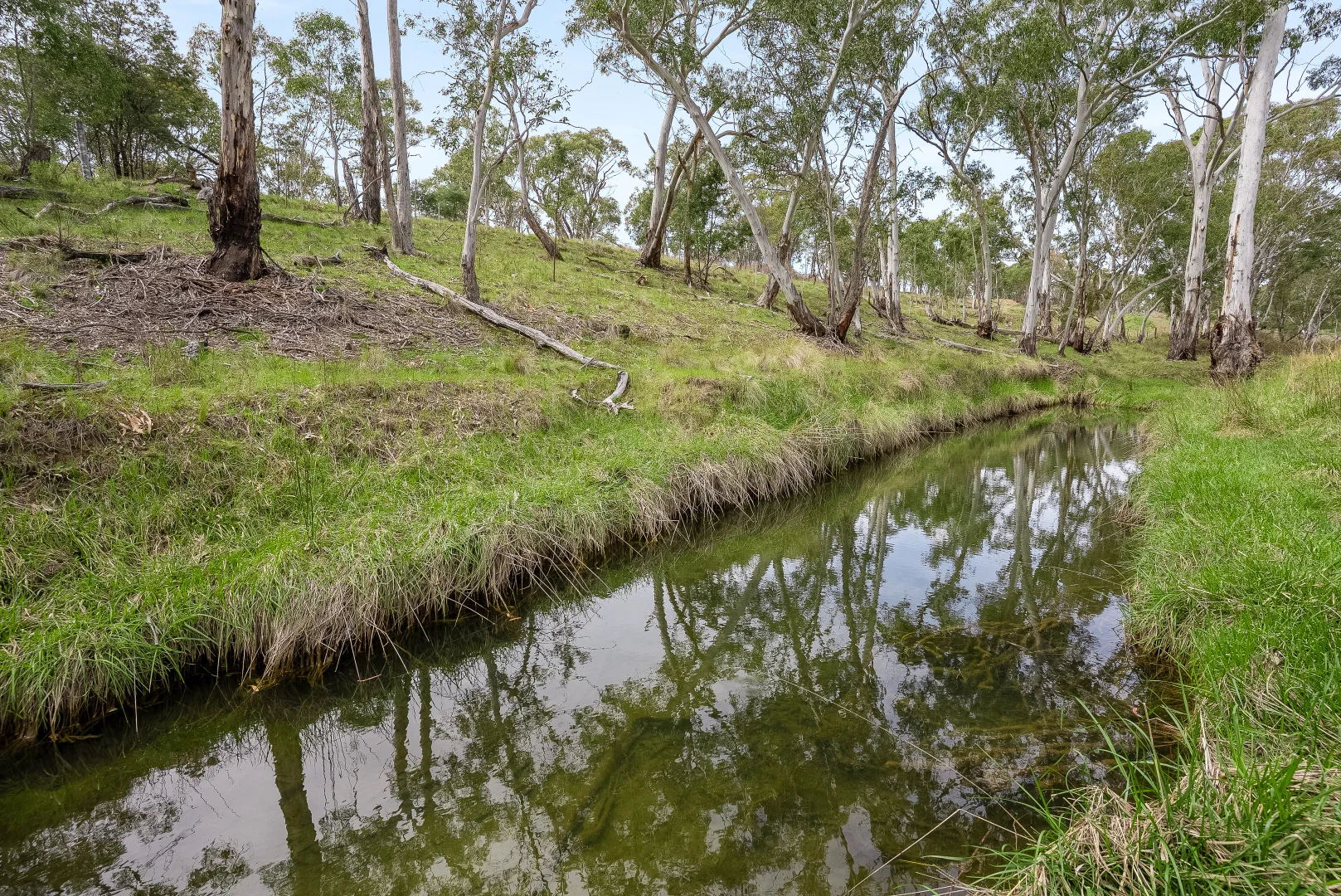 Additional image 5 of 4 Grandview Place, Portland NSW 2847