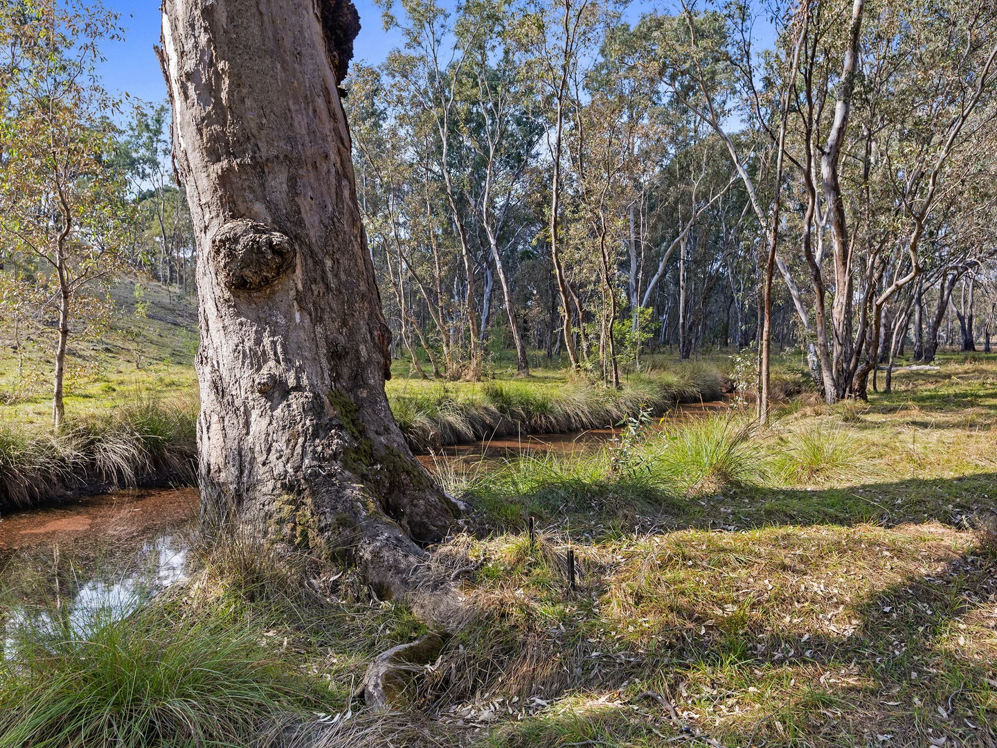Additional image 6 of 2 Heathcote North Costerfield Road, Heathcote VIC 3523
