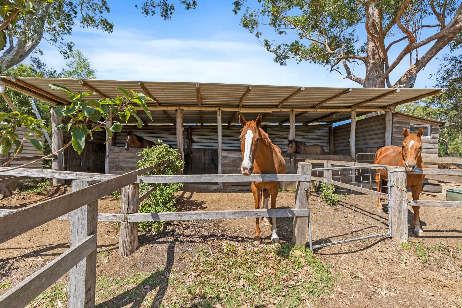 Additional image 21 of 247a Old Princes Highway, Termeil NSW 2539