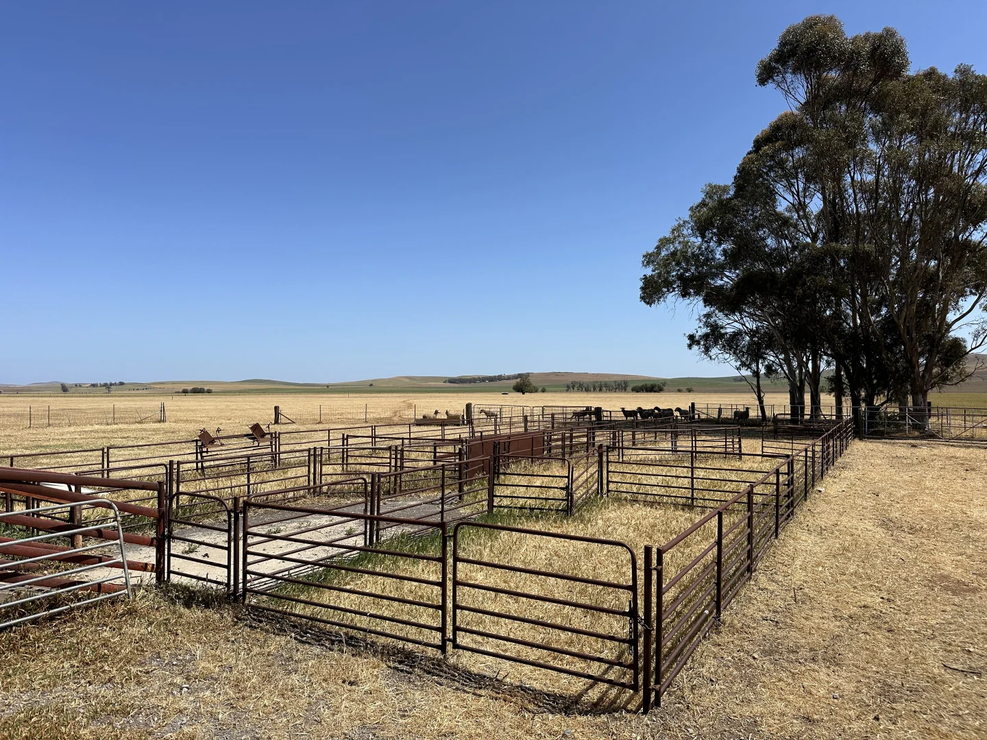 Additional image 12 of 'Lucerne Park' Booborowie Rd, Booborowie SA 5417