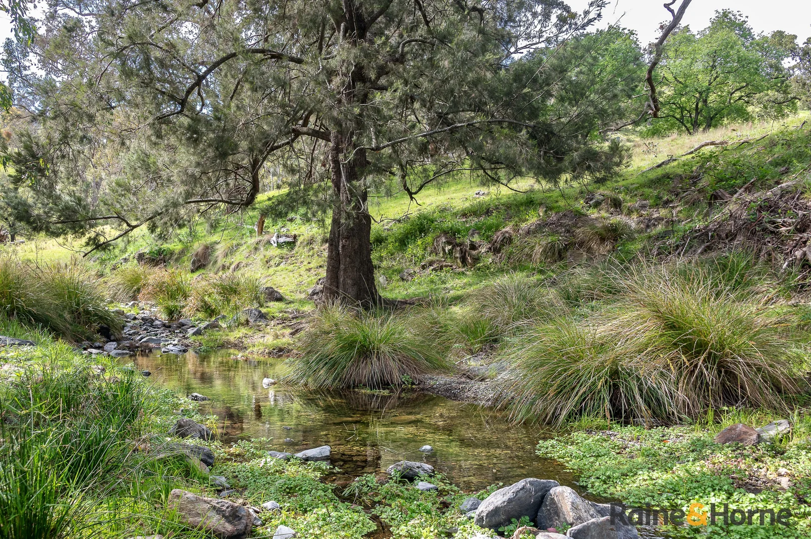 Additional image 7 of Lot 3/2553 Campfire Road, Walcha NSW 2354