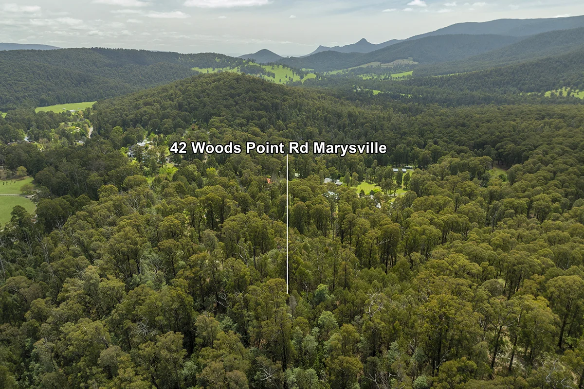 Additional image 9 of 42 Woods Point Road, Marysville VIC 3779