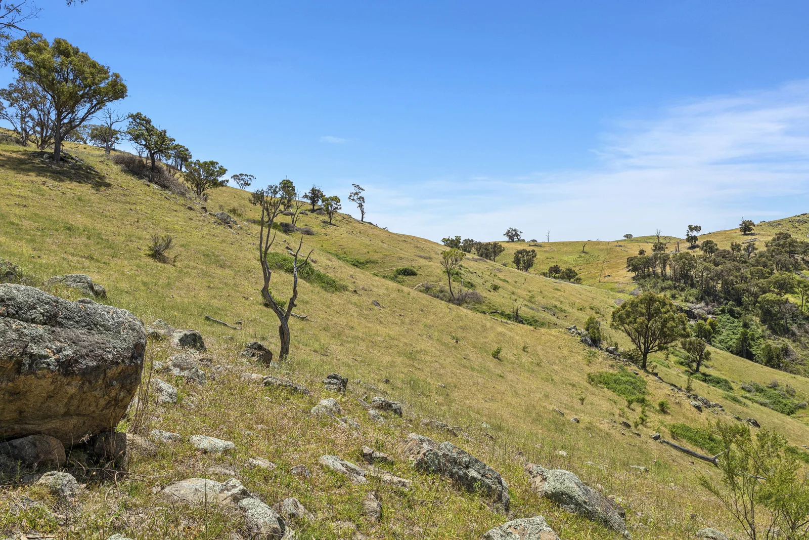 Additional image 16 of Lot 1/414 Horseshoe Rd, Mullion NSW 2582