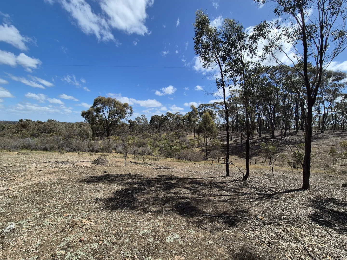 Additional image 12 of Lot 2 Gellibrand Tonks Road, Earlston VIC 3669