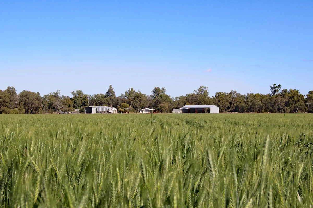 Additional image 32 of "Edenbelle" Lake Pleasant Road, Goovigen QLD 4702