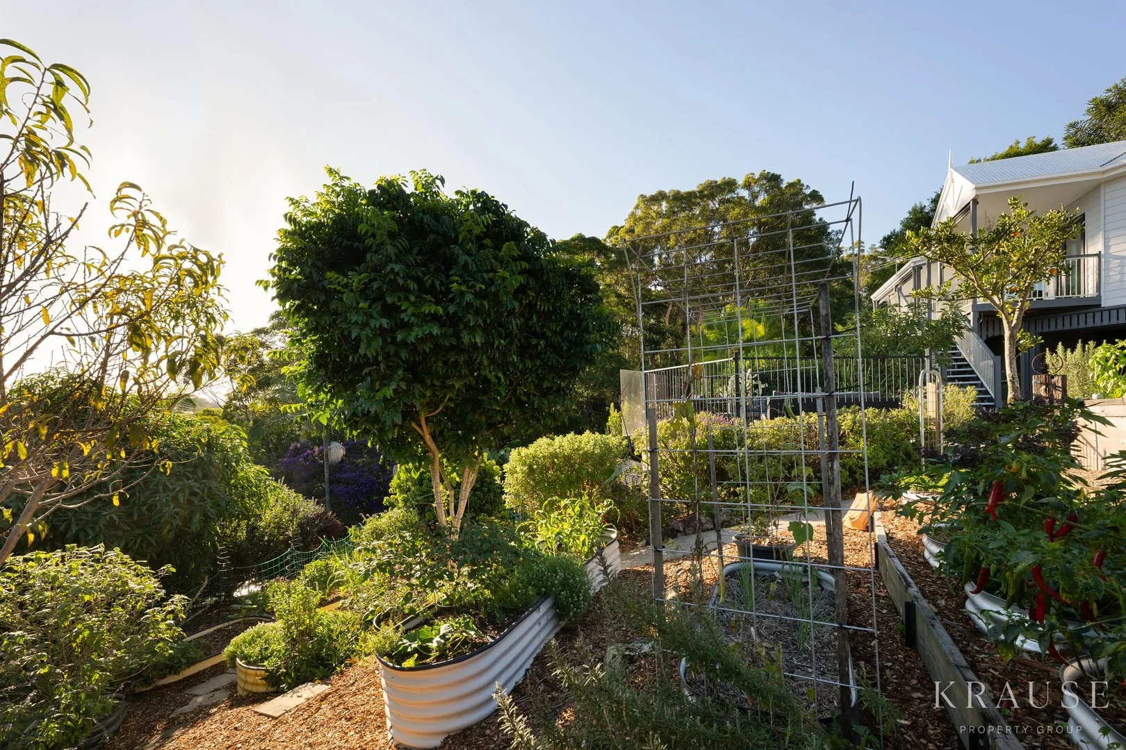 Additional image 32 of 16 Callistemon Court, Maroochy River QLD 4561