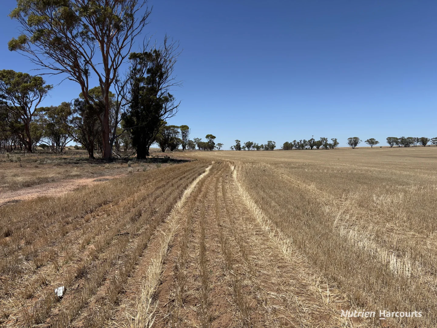 Additional image 5 of . 'Jurocken & Corrylyn', Dowerin WA 6461
