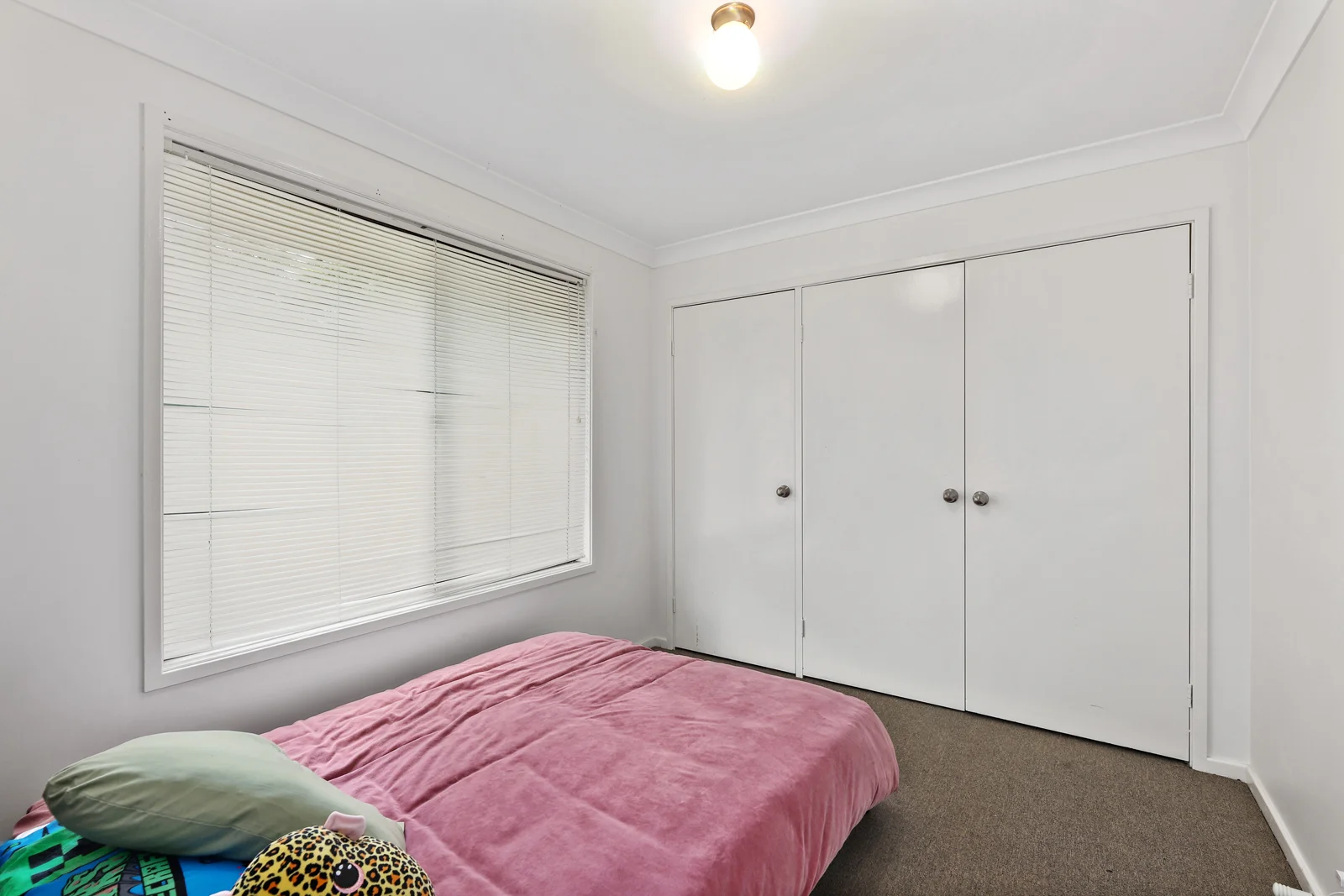 Additional image 7 of 21 McLeod Street, Aberdeen NSW 2336