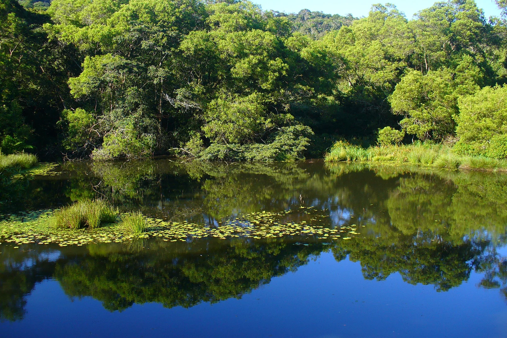 Additional image 9 of 10524 Kennedy Highway, Upper Barron QLD 4883