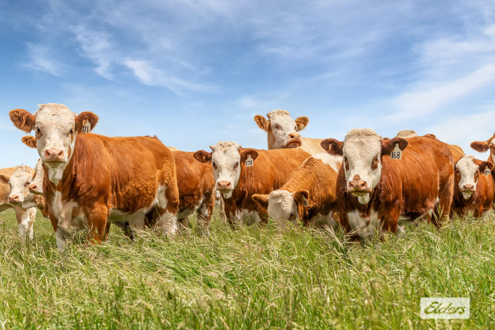 Additional image 2 of 90 Notmans Lane, Lancefield VIC 3435