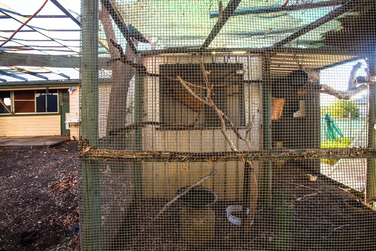 Additional image 19 of 17-19 Dennis Street, Bell QLD 4408