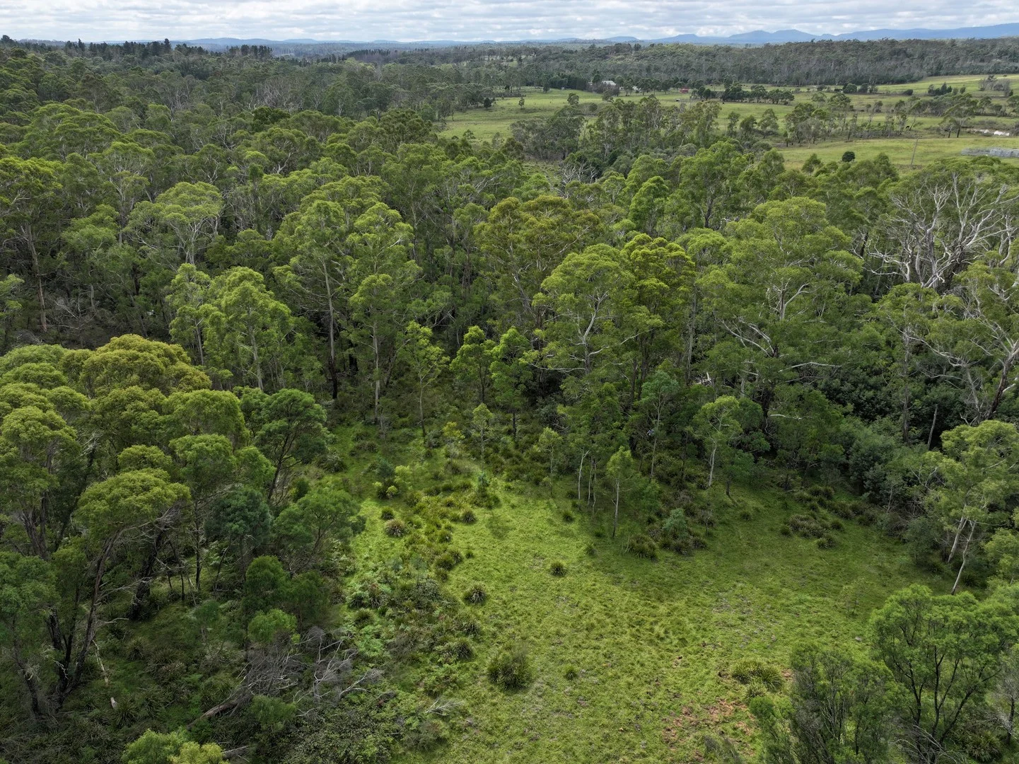 14 Ningee Nimbell Creek Road, Braidwood NSW 2622