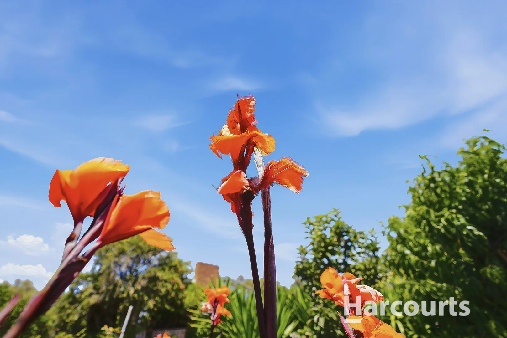 Additional image 23 of 41 Westwood Street, Bridport TAS 7262