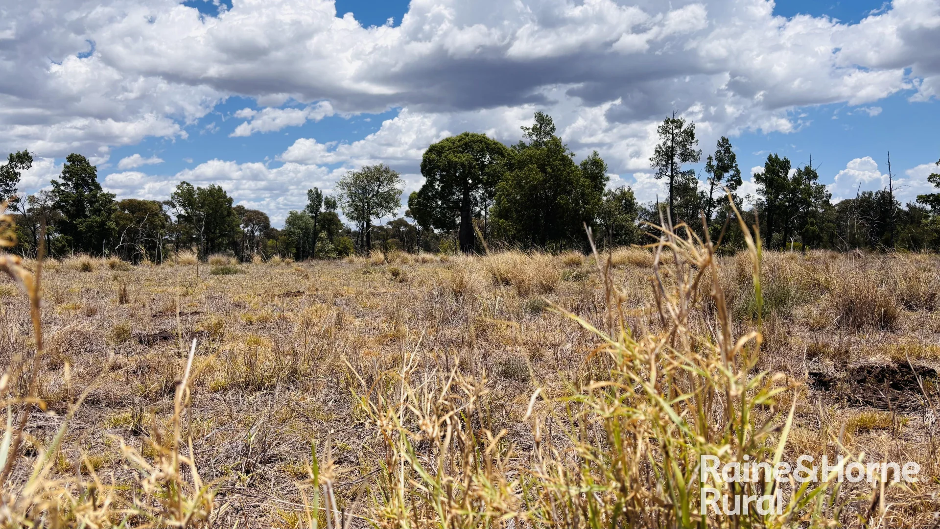 Additional image 18 of 330 Burrow Downs Road, Injune QLD 4454