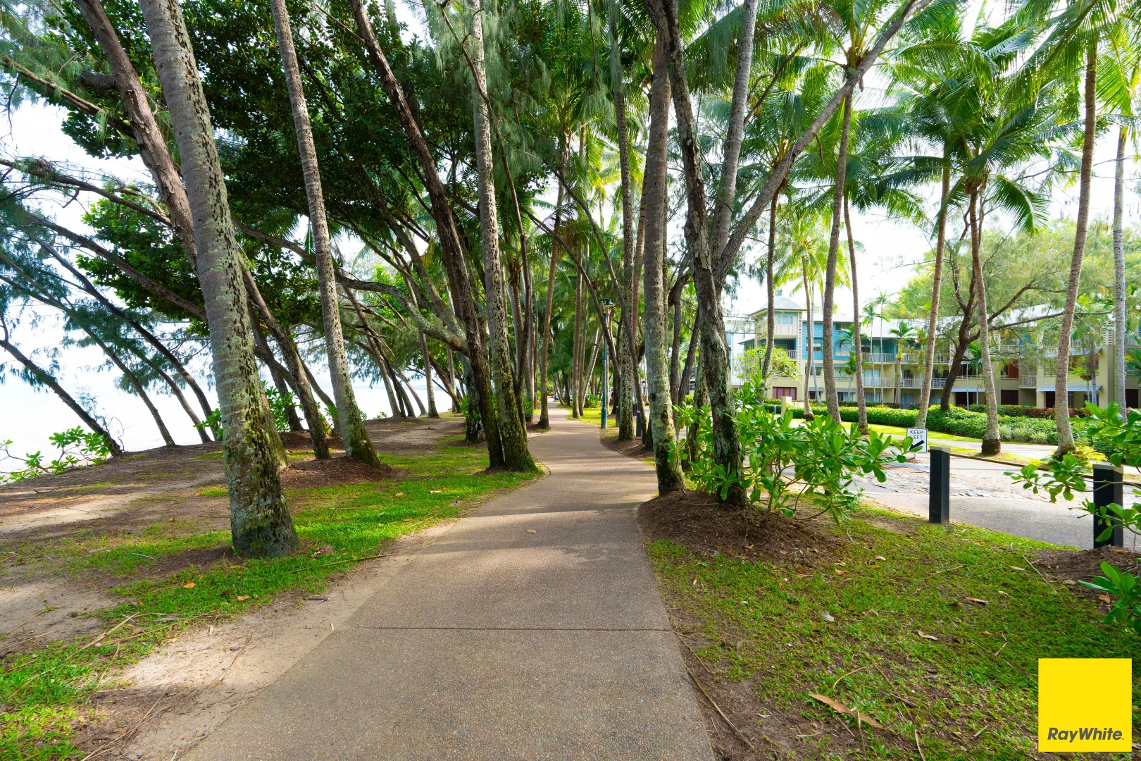 Additional image 30 of 835/49-63 Williams Esplanade, Palm Cove QLD 4879