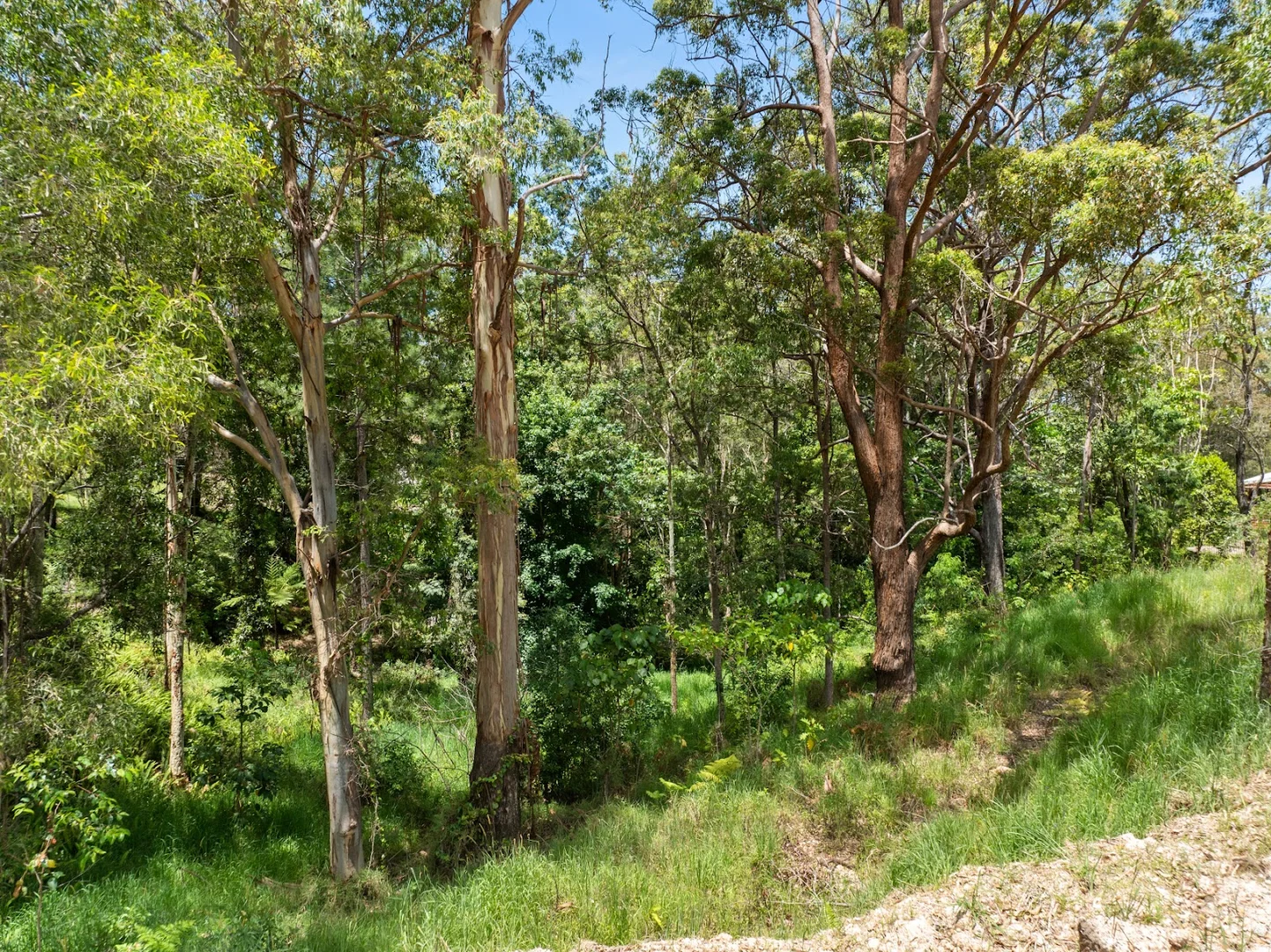 Additional image 15 of 612-618 Henri Robert Drive, Tamborine Mountain QLD 4272