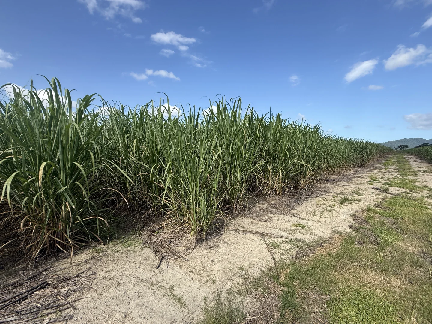 Additional image 7 of Midgenoo QLD 4854