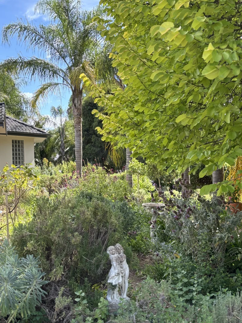 Additional image 20 of 64 Arcadia Downs Drive, Kialla VIC 3631