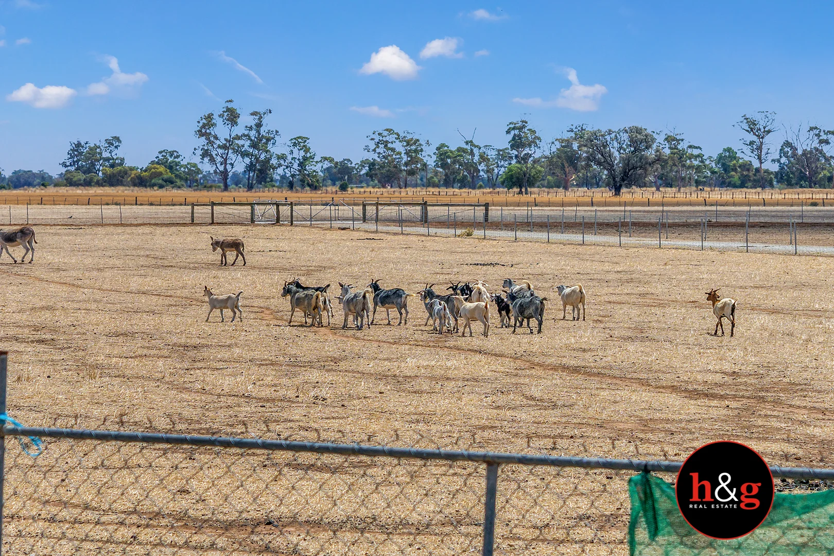 Additional image 26 of 440 Sinclair Road, Kyabram VIC 3620