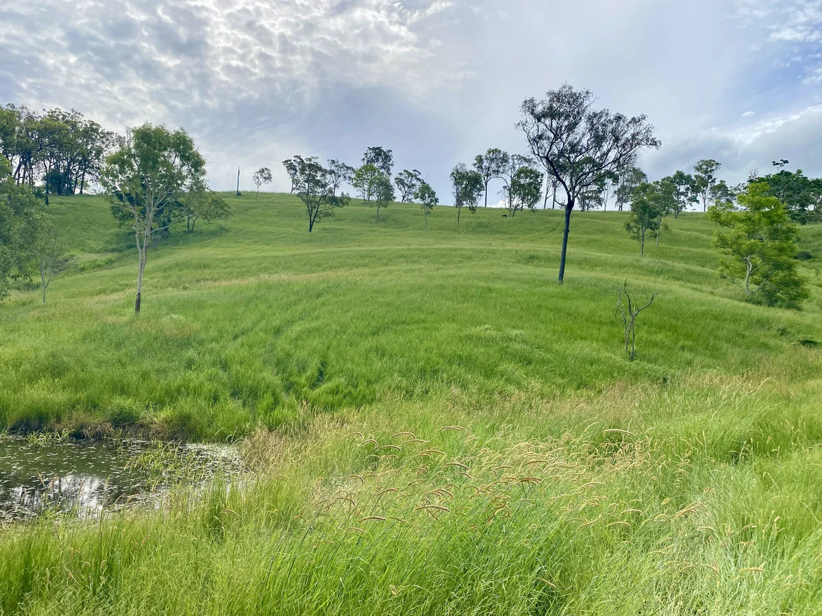 Additional image 6 of 558 Marlborough-Sarina Road, Sarina QLD 4737