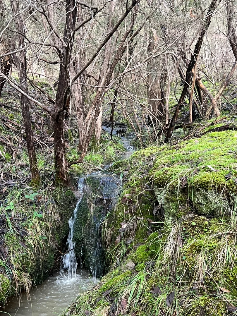 Additional image 5 of 52 Taylor Bay Road, Taylor Bay VIC 3713