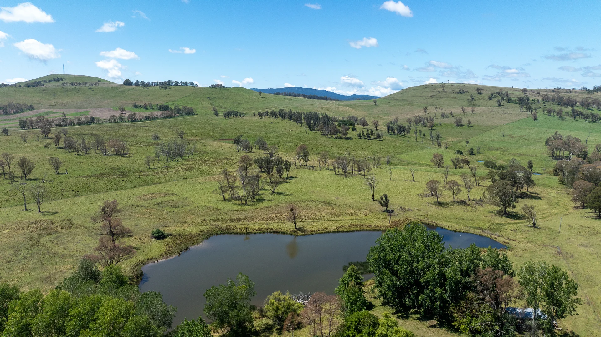 Additional image 13 of 1763 Wongwibinda Road, Armidale NSW 2350