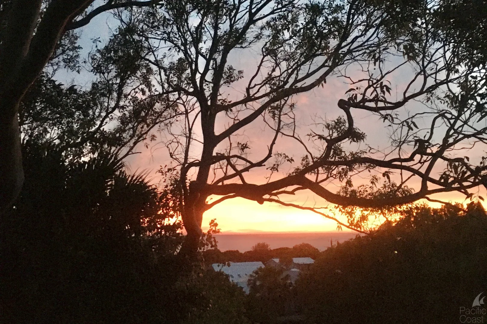 Additional image 17 of 36 Seaview Street, Forster NSW 2428