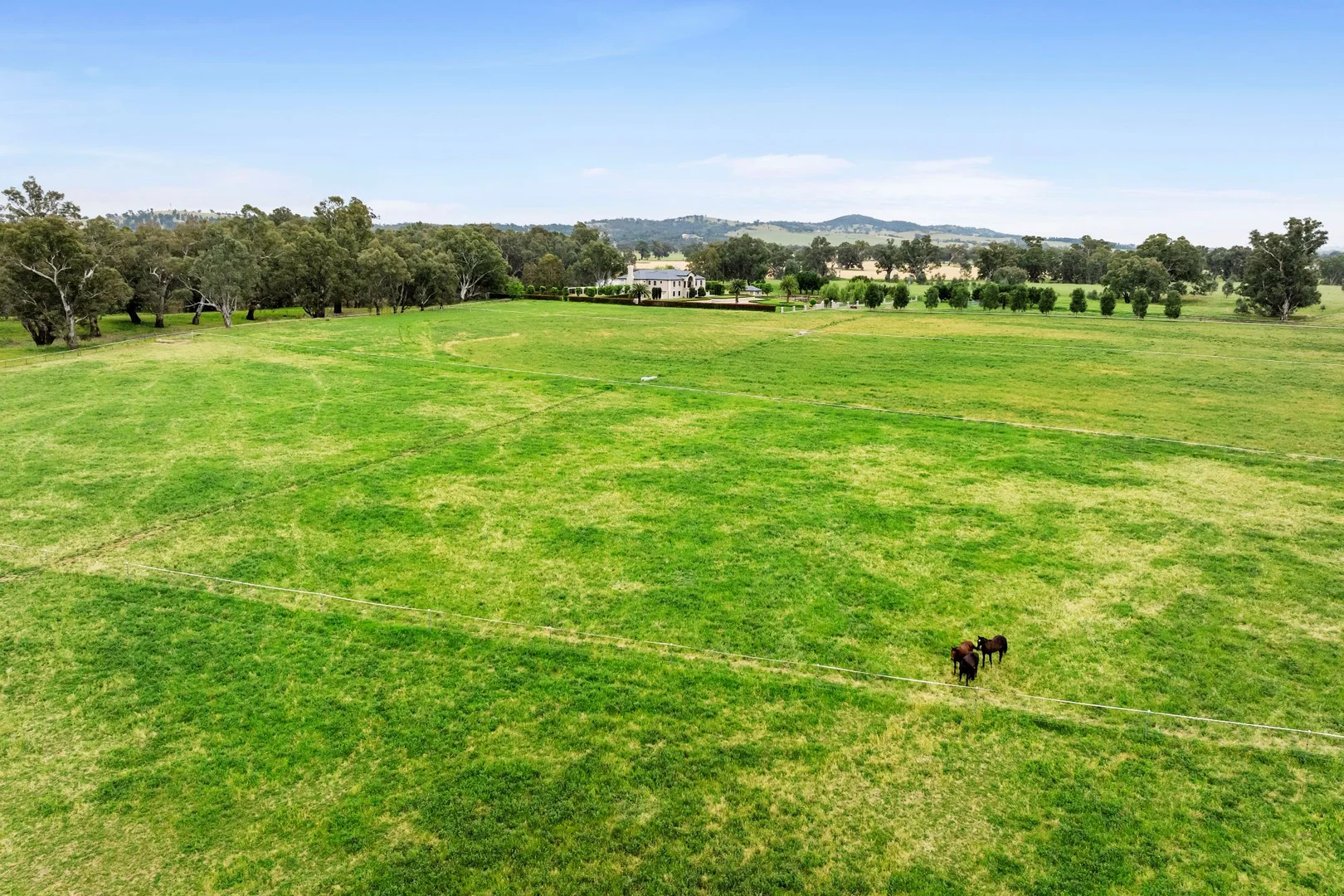 Additional image 14 of 347 River Road, Wagga Wagga NSW 2650