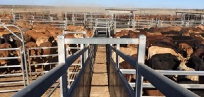 Additional image 10 of 1970 Saltern Creek Road, Barcaldine QLD 4725