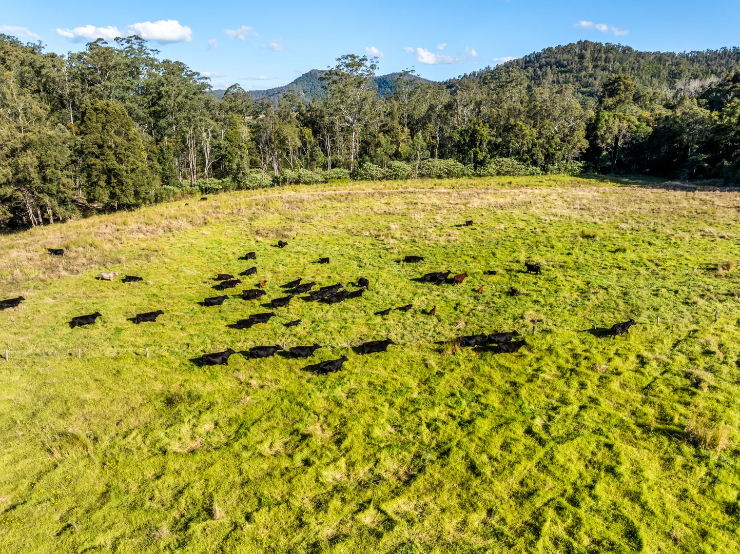 Additional image 28 of 2667 Pappinbarra Road, Pappinbarra NSW 2446