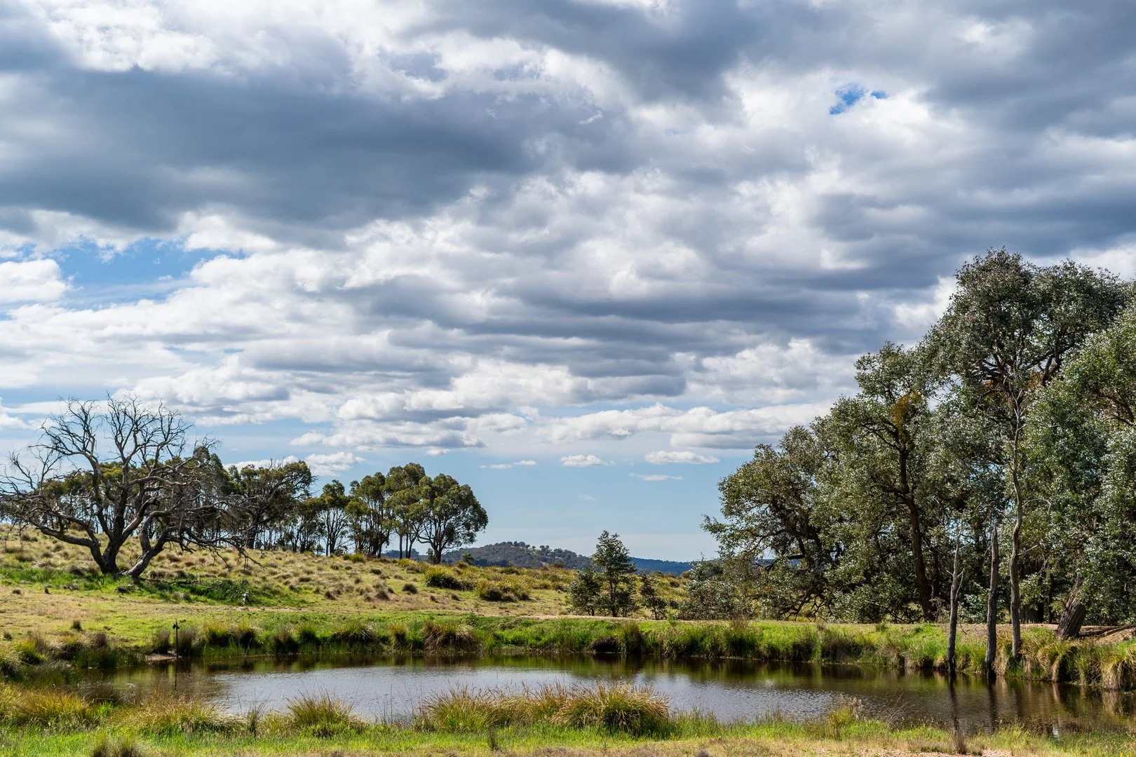 Additional image 14 of Lot 2 838 Murrumbateman Road, Nanima NSW 2582