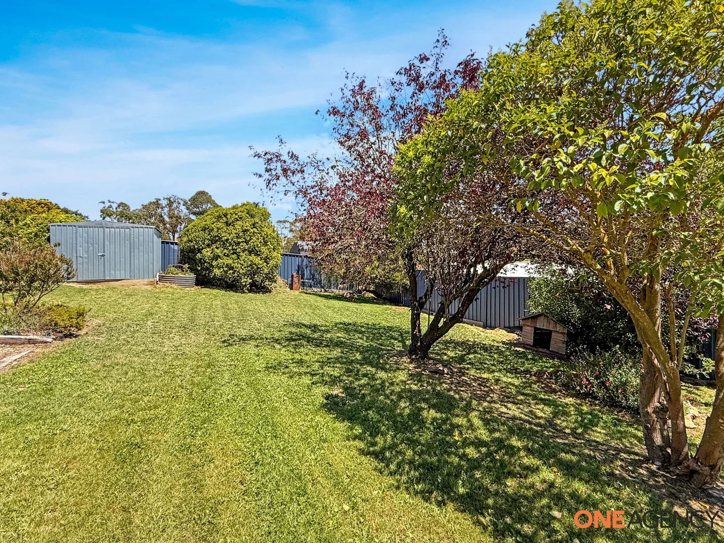 Additional image 18 of 38 Manning Street, Bombala NSW 2632